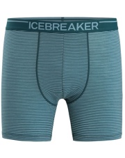 Bokserki męskie Icebreaker ANATOMICA BOXERS g.glory