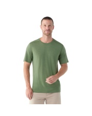 Koszulka męska Smartwool MERINO S/S TEE fern green