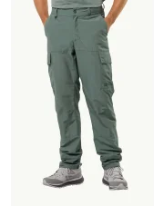 Spodnie męskie Jack Wolfskin BARRIER hedhe green 