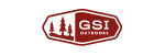 GSI GSI